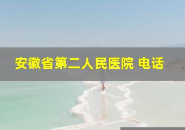 安徽省第二人民医院 电话